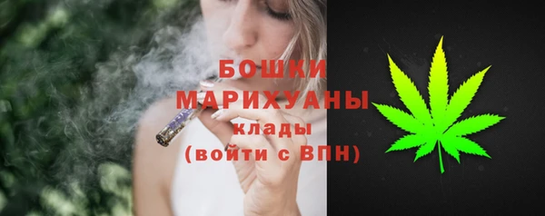 ГАЛЛЮЦИНОГЕННЫЕ ГРИБЫ Вязьма