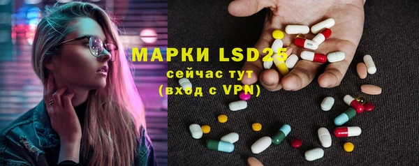 ГАЛЛЮЦИНОГЕННЫЕ ГРИБЫ Вязьма