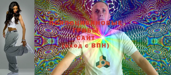 ГАЛЛЮЦИНОГЕННЫЕ ГРИБЫ Вязьма