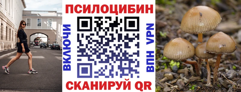 Купить закладки  Семикаракорск  Псилоцибиновые грибы Magic Shrooms 